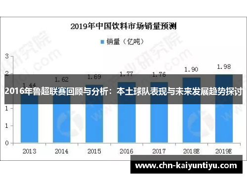 2016年鲁超联赛回顾与分析:本土球队表现与未来发展趋势探讨